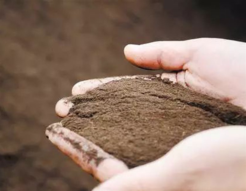 Sludge into organic fertilizer centralized treatment center to turn waste into treasure